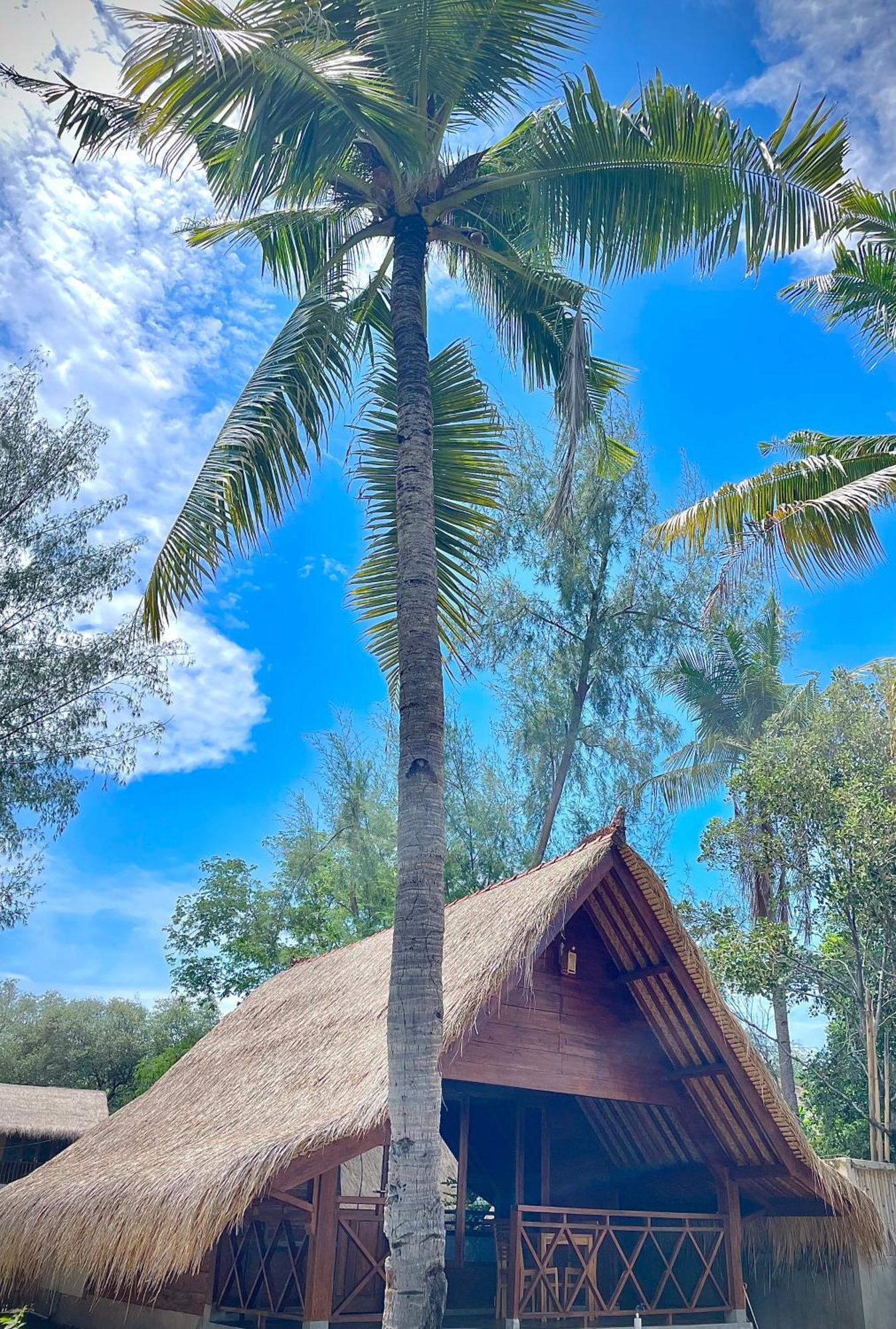 Saja Cottage, Gili Meno Ngoại thất bức ảnh
